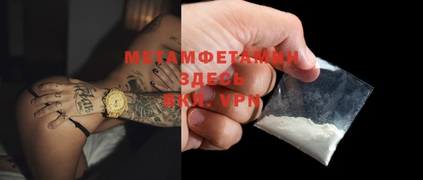 мет Алексин