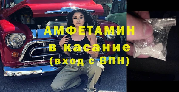 мет Алексин