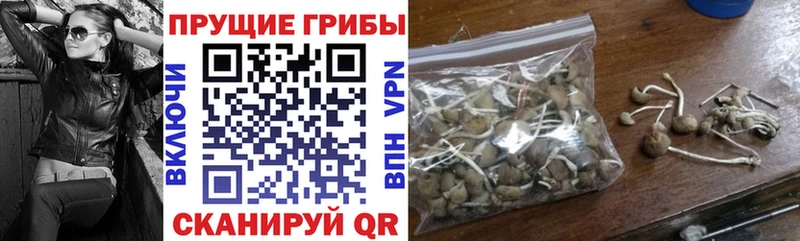Псилоцибиновые грибы MAGIC MUSHROOMS  Кологрив 